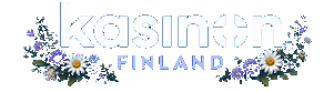 Kasinon
